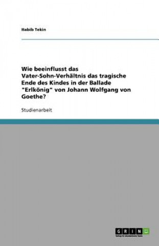 Kniha Wie beeinflusst das Vater-Sohn-Verhaltnis das tragische Ende des Kindes in der Ballade Erlkoenig von Johann Wolfgang von Goethe? Habib Tekin