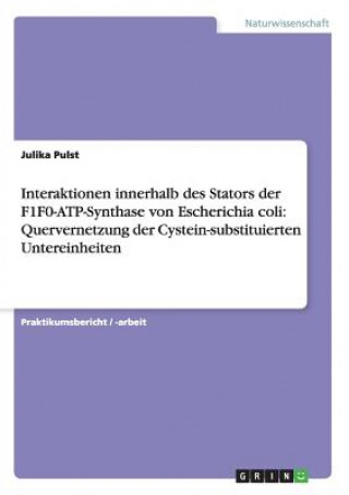 Könyv Interaktionen innerhalb des Stators der F1F0-ATP-Synthase von Escherichia coli Julika Pulst