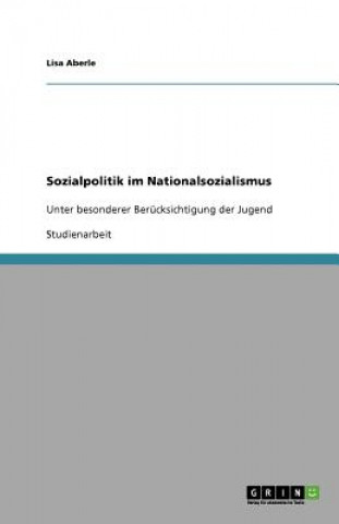 Kniha Sozialpolitik im Nationalsozialismus Lisa Aberle