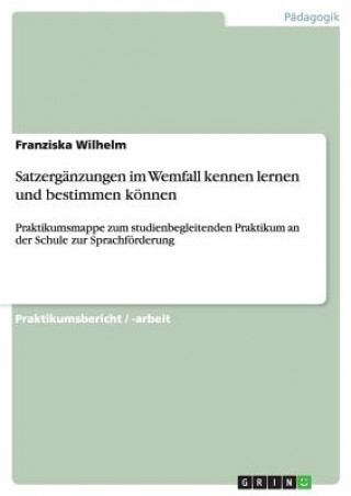 Kniha Satzerganzungen im Wemfall kennen lernen und bestimmen koennen Franziska Wilhelm