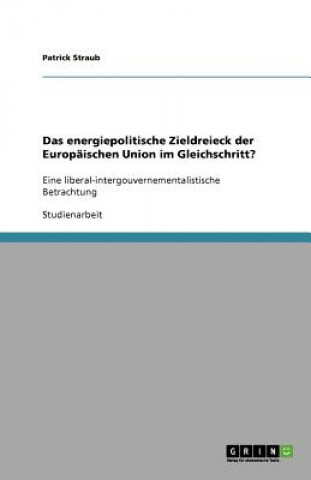 Könyv energiepolitische Zieldreieck der Europaischen Union im Gleichschritt? Patrick Straub
