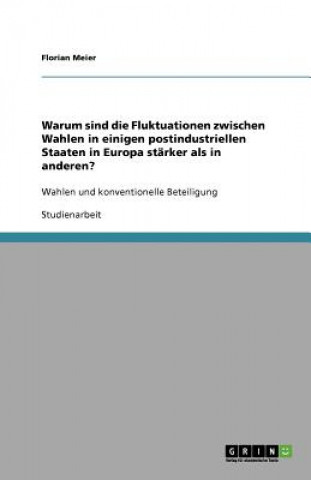 Книга Warum sind die Fluktuationen zwischen Wahlen in einigen postindustriellen Staaten in Europa starker als in anderen? Florian Meier