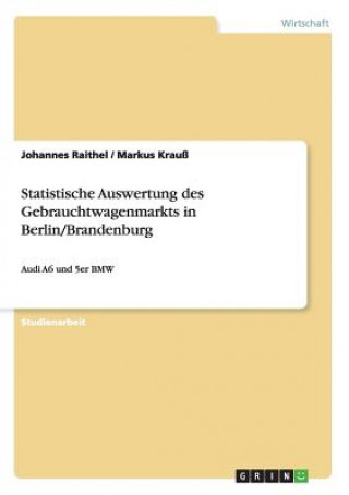 Könyv Statistische Auswertung des Gebrauchtwagenmarkts in Berlin/Brandenburg Johannes Raithel