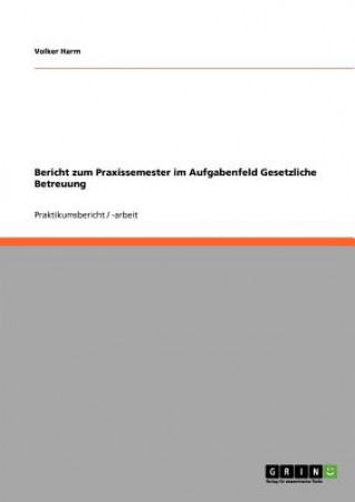 Kniha Bericht zum Praxissemester im Aufgabenfeld Gesetzliche Betreuung Volker Harm