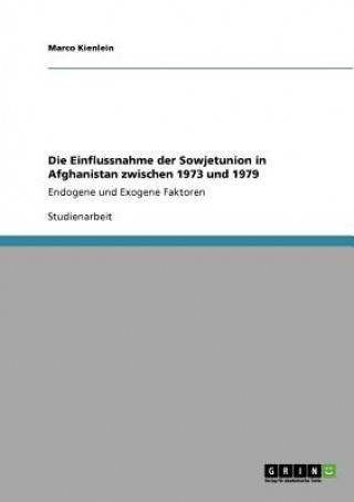 Kniha Einflussnahme der Sowjetunion in Afghanistan zwischen 1973 und 1979 Marco Kienlein