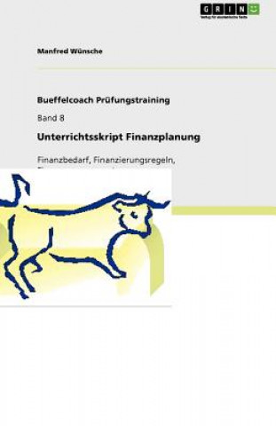 Boek Unterrichtsskript Finanzplanung Manfred Wünsche