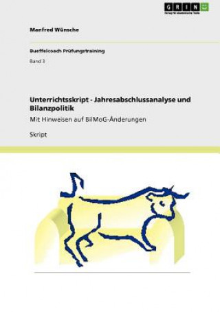 Kniha Unterrichtsskript - Jahresabschlussanalyse und Bilanzpolitik Manfred Wünsche