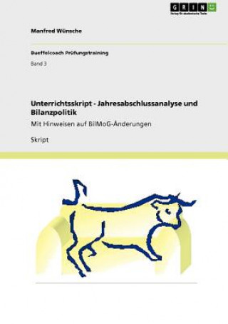 Βιβλίο Unterrichtsskript - Jahresabschlussanalyse und Bilanzpolitik Manfred Wünsche