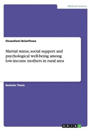 Książka Martial status, social support and psychological well-being among low-income mothers in rural area Oluwafemi Bolarfinwa