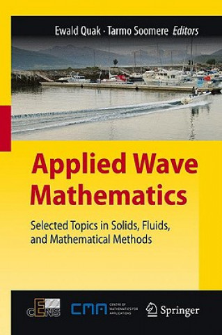 Книга Applied Wave Mathematics Ewald Quak