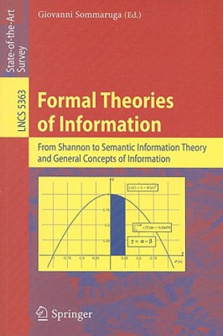 Könyv Formal Theories of Information Giovanni Sommaruga