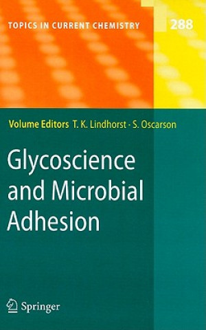 Könyv Glycoscience and Microbial Adhesion Thisbe K. Lindhorst
