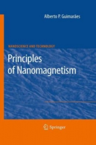 Libro Principles of Nanomagnetism Alberto P. Guimaraes