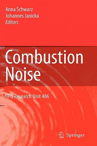 Könyv Combustion Noise Anna Schwarz