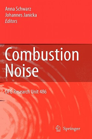 Book Combustion Noise Anna Schwarz