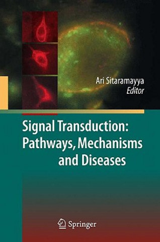 Książka Signal Transduction: Pathways, Mechanisms and Diseases Ari Sitaramayya