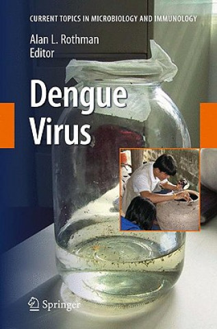 Könyv Dengue Virus Alan L. Rothman
