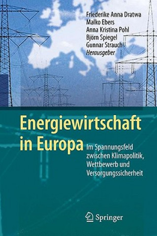 Knjiga Energiewirtschaft in Europa Friederike A. Dratwa