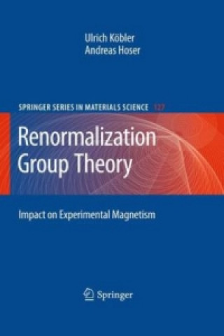 Buch Renormalization Group Theory Ulrich Köbler