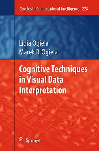Könyv Cognitive Techniques in Visual Data Interpretation Lidia Ogiela