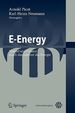 Kniha E-Energy Arnold Picot