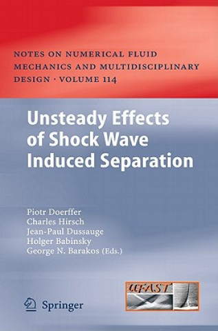 Könyv Unsteady Effects of Shock Wave induced Separation Piotr Doerffer