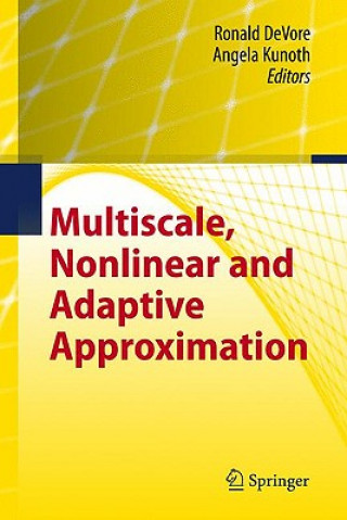 Kniha Multiscale, Nonlinear and Adaptive Approximation Ronald DeVore