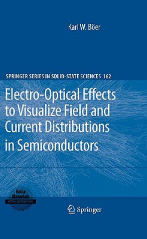 Buch Electro-Optical Effects to Visualize Field and Current Distributions in Semiconductors Karl W. Böer