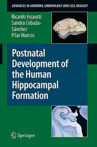 Kniha Postnatal Development of the Human Hippocampal Formation Ricardo Insausti