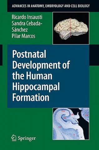 Książka Postnatal Development of the Human Hippocampal Formation Ricardo Insausti