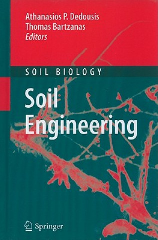 Carte Soil Engineering Athanasios P. Dedousis