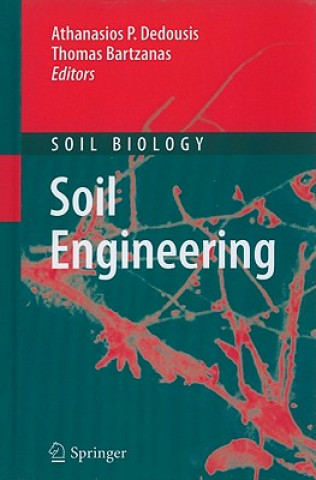 Buch Soil Engineering Athanasios P. Dedousis