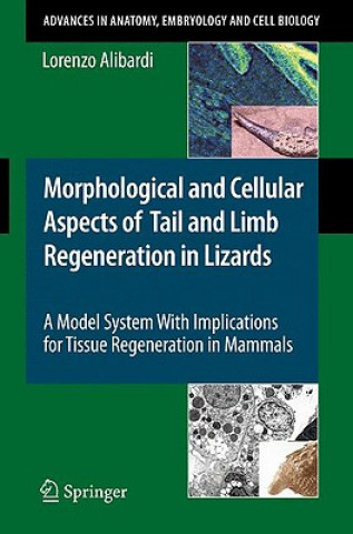 Książka Morphological and Cellular Aspects of Tail and Limb Regeneration in Lizards Lorenzo Alibardi