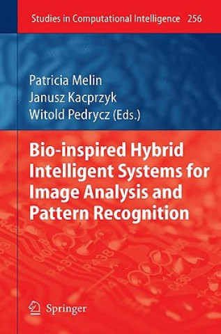 Könyv Bio-Inspired Hybrid Intelligent Systems for Image Analysis and Pattern Recognition Patricia Melin