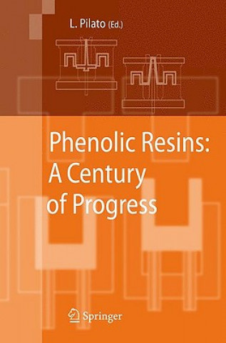 Buch Phenolic Resins:  A Century of Progress Louis Pilato