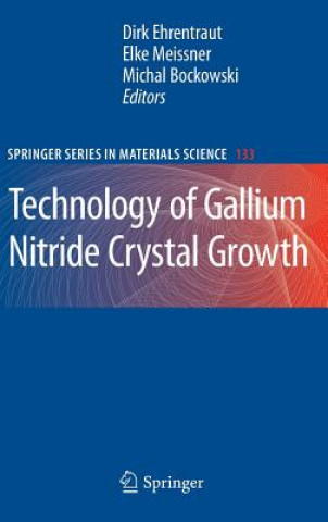 Kniha Technology of Gallium Nitride Crystal Growth Dirk Ehrentraut