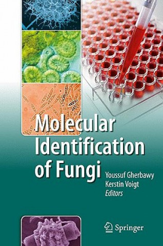 Kniha Molecular Identification of Fungi Youssuf Gherbawy
