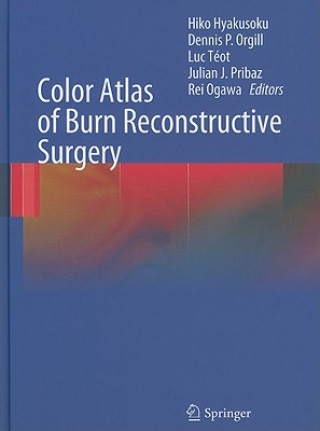 Kniha Color Atlas of Burn Reconstructive Surgery Hiko Hyakusoku