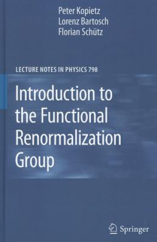 Könyv Introduction to the Functional Renormalization Group Peter Kopietz