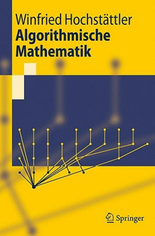 Könyv Algorithmische Mathematik Winfried Hochstättler