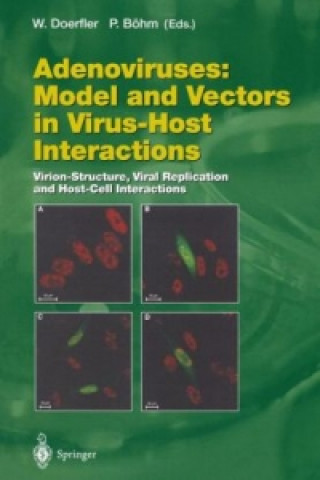 Kniha Adenoviruses: Model and Vectors in Virus-Host Interactions Walter Doerfler