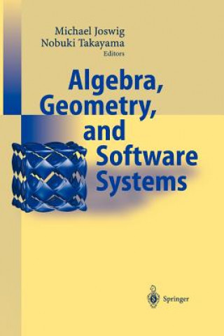 Kniha Algebra, Geometry and Software Systems Michael Joswig