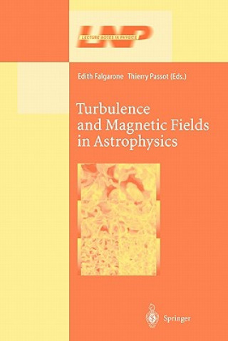 Buch Turbulence and Magnetic Fields in Astrophysics Edith Falgarone