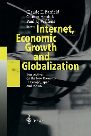 Kniha Internet, Economic Growth and Globalization Claude E. Barfield