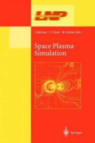 Könyv Space Plasma Simulation Jörg Büchner