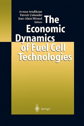 Книга Economic Dynamics of Fuel Cell Technologies Arman Avadikyan