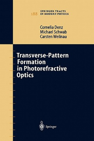 Livre Transverse-Pattern Formation in Photorefractive Optics Cornelia Denz