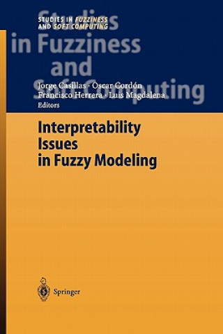 Книга Interpretability Issues in Fuzzy Modeling Jorge Casillas