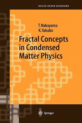 Könyv Fractal Concepts in Condensed Matter Physics Tsuneyoshi Nakayama