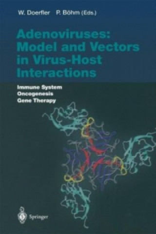 Książka Adenoviruses: Model and Vectors in Virus-Host Interactions Walter Doerfler